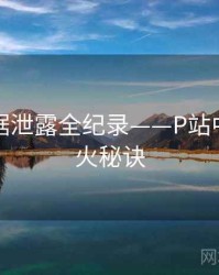 多维数据泄露全纪录——P站中文版爆火秘诀