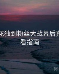 国产探花独到粉丝大战幕后真相，必看指南