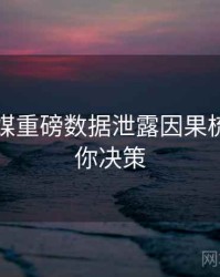 星空传媒重磅数据泄露因果梳理，助你决策