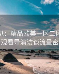 独家深扒：精品欧美一区二区三区免费观看导演访谈流量密码