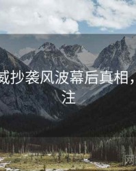 91网权威抄袭风波幕后真相，值得关注