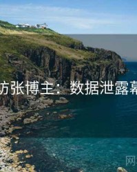 吃瓜专访张博主：数据泄露幕后故事